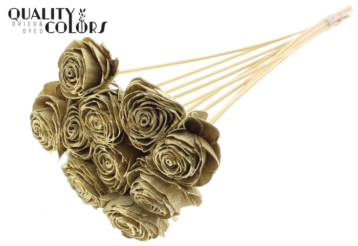 Shola Beauty Rose 6cm on stem Gold