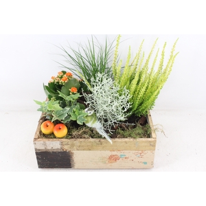 arr4 Outdoor VL - Hout kist caribean