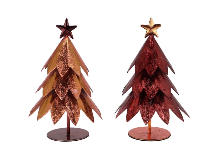<h4>Glam Scottish Brown Mix Tree Iron Ass 14x14x18cm</h4>