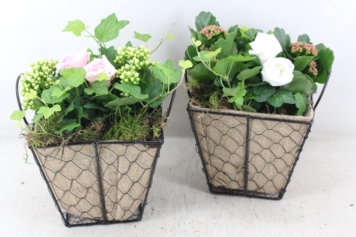 <h4>arr2 TD - Jute/gaas pot 4kant 344/3</h4>