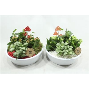 3848 KER KON LAAG ROOD/WIT