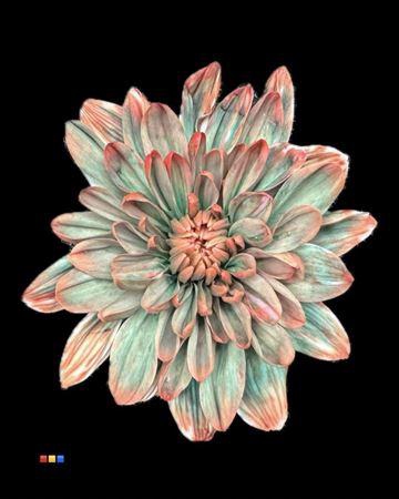 <h4>Chr T 2 Kl Baltica Tropicana</h4>