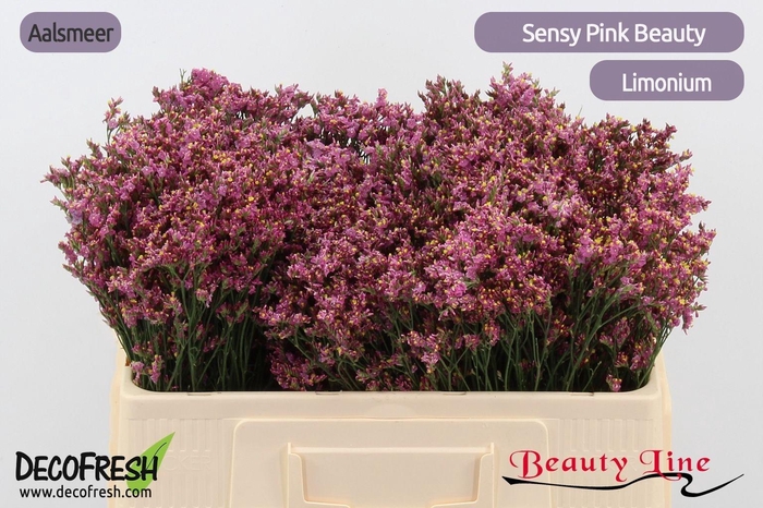 <h4>Lim Sin Sen Pin Beau</h4>