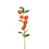 Artificial flowers Physalis 69cm
