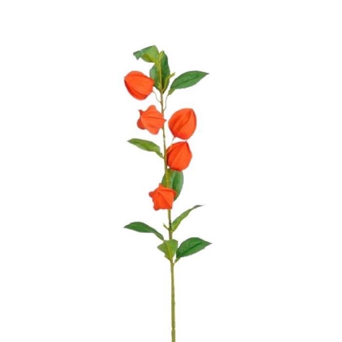 <h4>Kunstbloemen Physalis 69cm</h4>