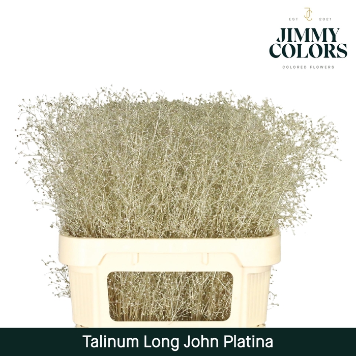 <h4>Talinum Long John L80 Platina</h4>