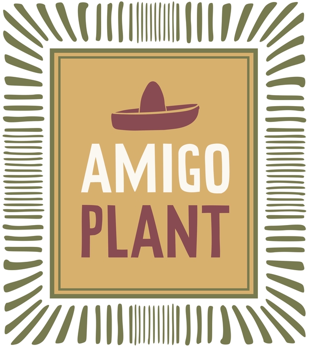 <h4>ECHEV SUMMER</h4>