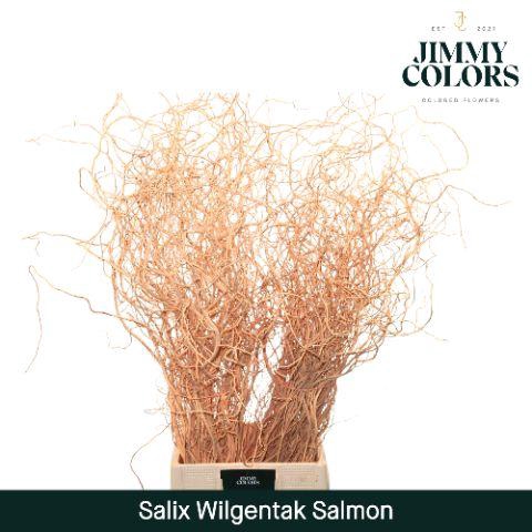 <h4>Salix Golden Curls Salmon</h4>
