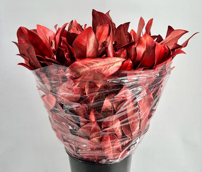 <h4>DEC Magnolia Painted $luxury Red</h4>