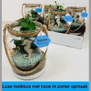 ARR KAMERPL