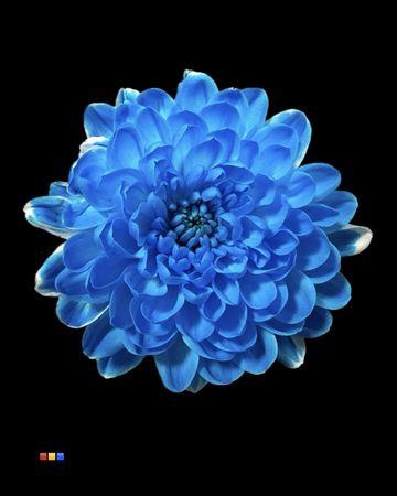 <h4>Chr T Altaj Light Blue</h4>