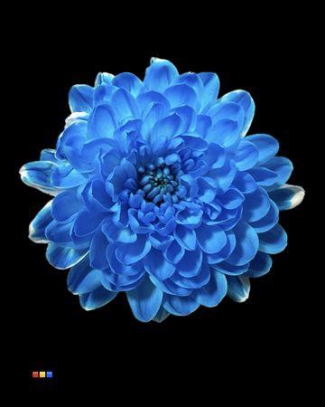 <h4>Chr T Altaj Light Blue</h4>