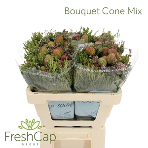 Bouquet Cone Mix