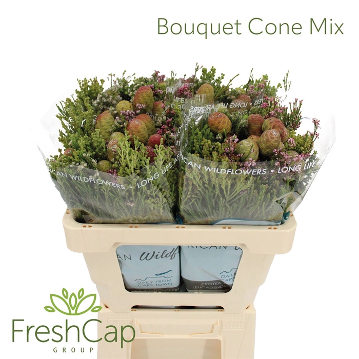 <h4>Bouquet Cone Mix</h4>