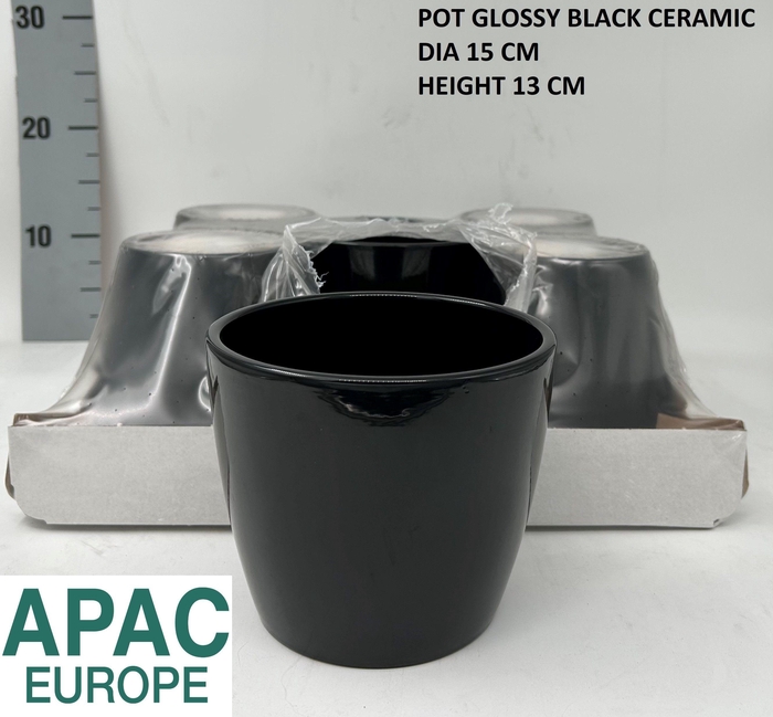 <h4>KERAMISCHE POT H%</h4>