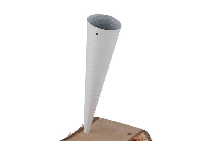 Waxinepunt Wit 25cm Nm