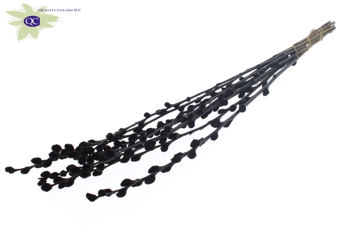 <h4>Pussy Willow 60cm Black</h4>