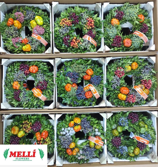 <h4>SIERFRUIT KRANS H%</h4>