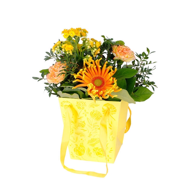 <h4>Bag Floral cardboard 16x12xH18cm yellow 10/bag</h4>