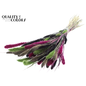 Setaria per bunch Colourful 8