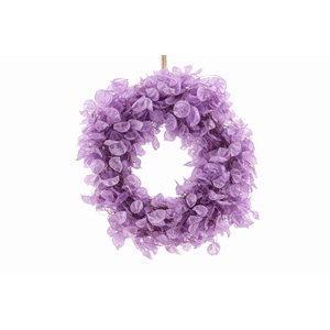 Wr Dried Lunaria Milka 40cm