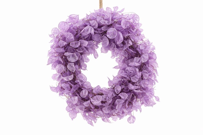 <h4>Wr Dried Lunaria Milka 40cm</h4>