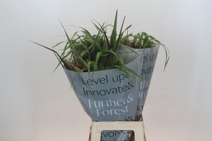 <h4>Grasses mix in bucket</h4>