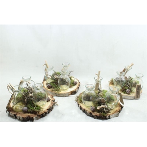 0181 SCHORS 3 FLESJES