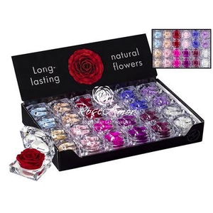 Display Jewel Assorted Pastel