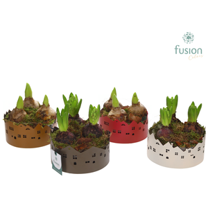 Zinken schaal Huisjes Small met Hyacinten