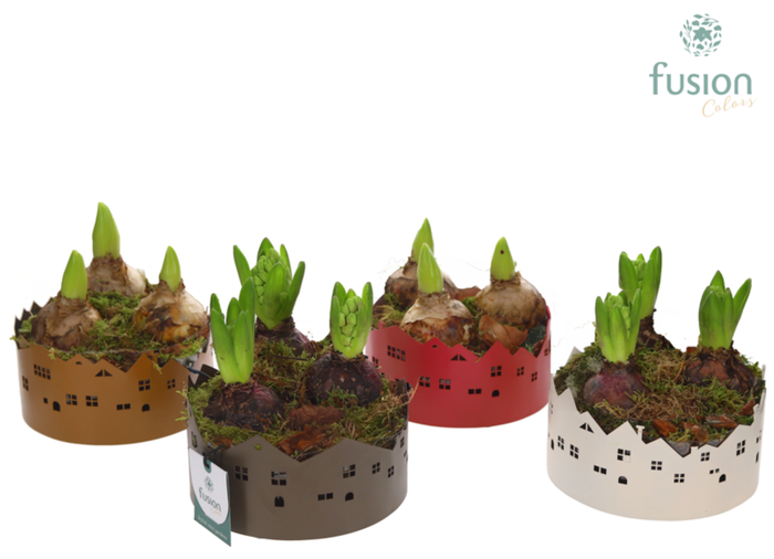 <h4>Zinken schaal Huisjes Small met Hyacinten</h4>