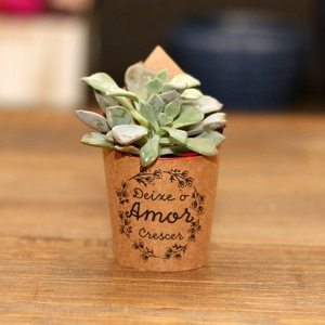 CACHEPOT KRAFT SUCULENTA 10 CM X 06 CM C/20 DEIXE O AMOR CRESCER