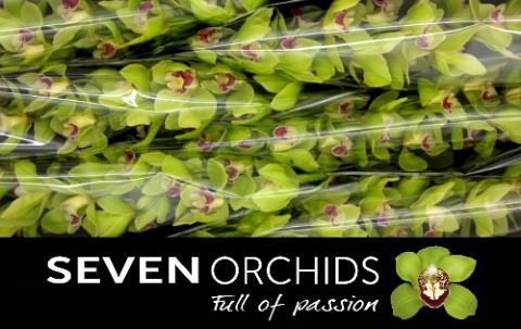 <h4>CYMB T BREMO</h4>