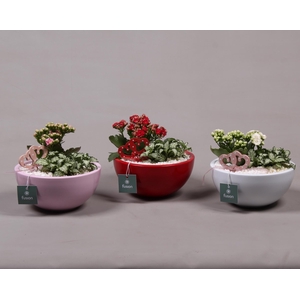 Keramiek moon 3 assortiment met arrangement D18 H36