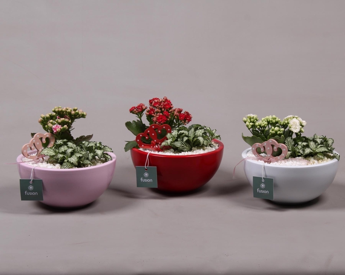 <h4>Keramiek moon 3 assortiment met arrangement D18 H36</h4>