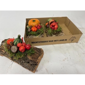 CUCURBITA