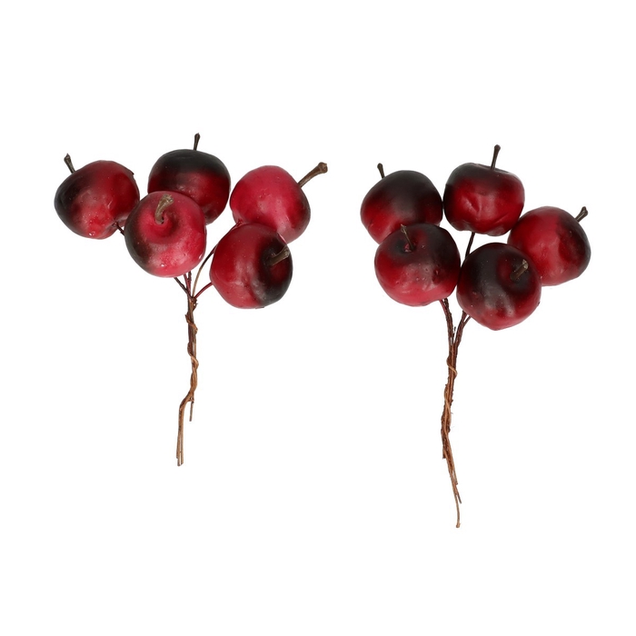 <h4>Herfst Appel/draad d2.5cm x20</h4>