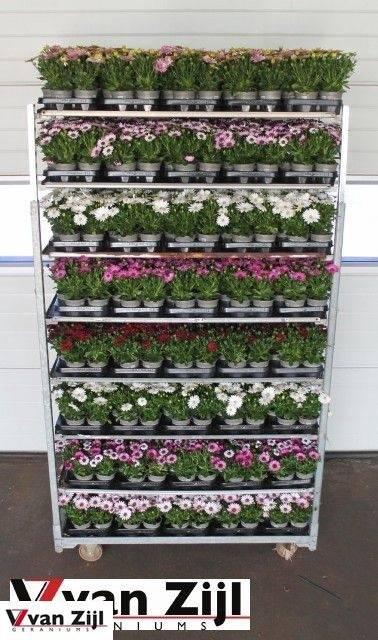 <h4>OSTEO MIXK stock</h4>