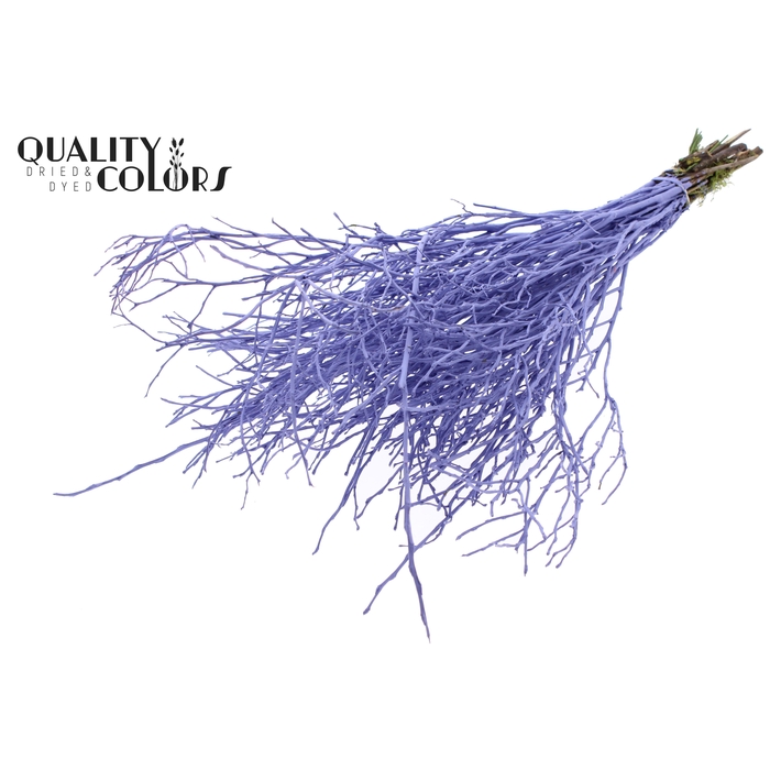 <h4>Huckelberry per bunch Milka</h4>