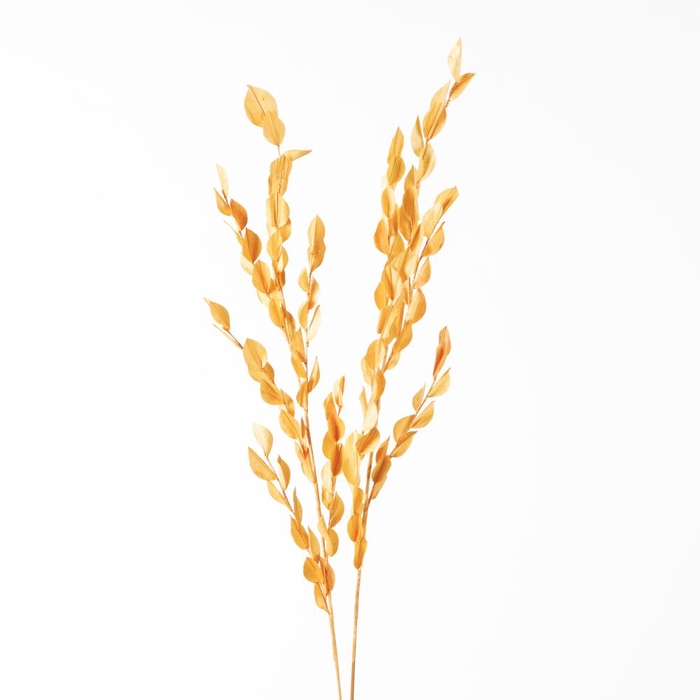 DF Fireleaves Wired 105cm Peac