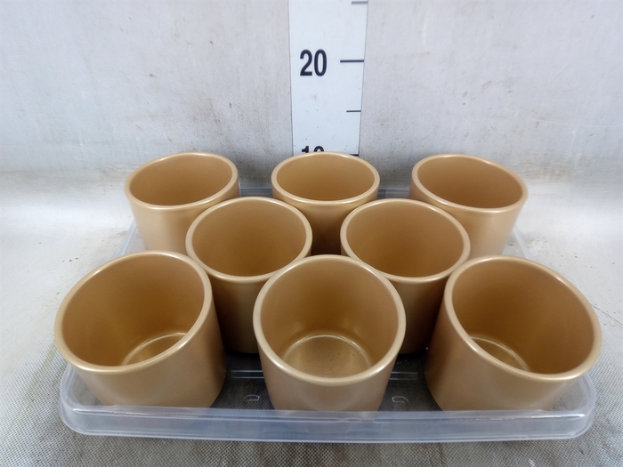 <h4>Pot   ...Keramische H%</h4>
