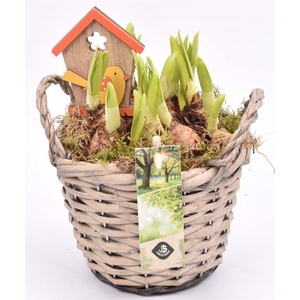 Wilg mand grijs met oor 14cm