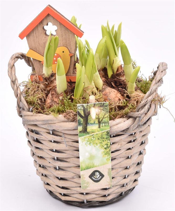 <h4>Wilg mand grijs met oor 14cm</h4>