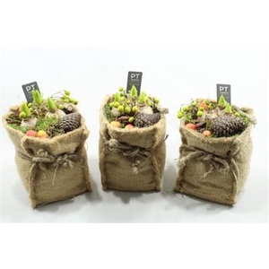 7731 HYAC JUTE ZAK SNEEUW