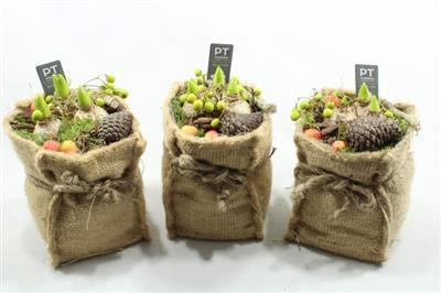 <h4>7731 HYAC JUTE ZAK SNEEUW</h4>