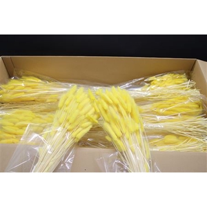 Lagurus Geel X30
