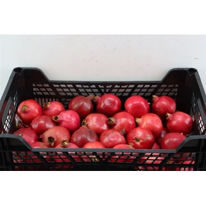 Sier Granaatappel X45 Stp Wdn Box
