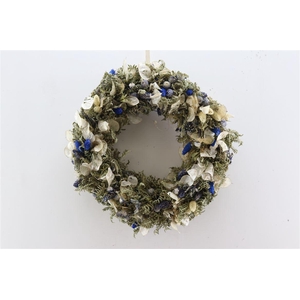 Wr Blue Delight 40cm Naturel