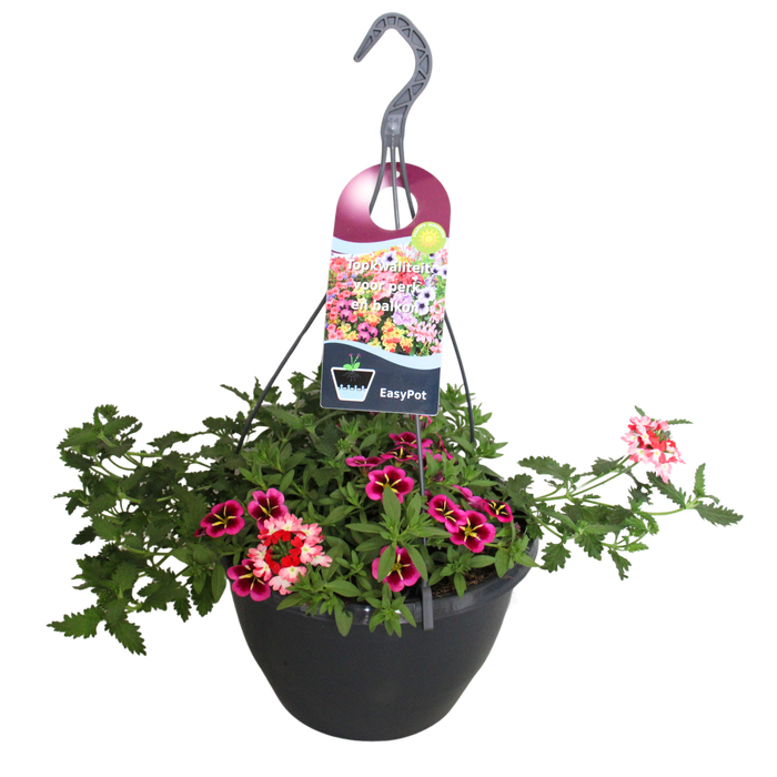 <h4>'Weekaanbieding; Hangpotten 27 waterreservoir Mix 06 Kiss mix</h4>