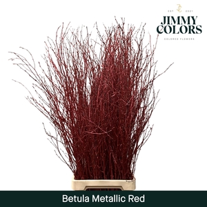 Betula L120 Mtlc. Red